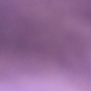 Meet your Posher, Carolina